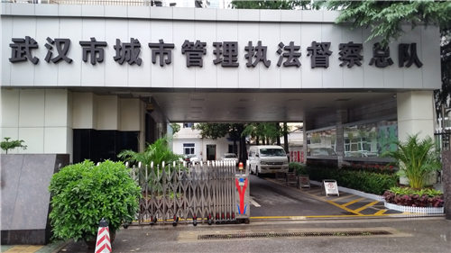 行政服務中心綠植租賃