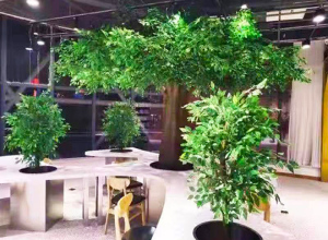 室內(nèi)景觀案例