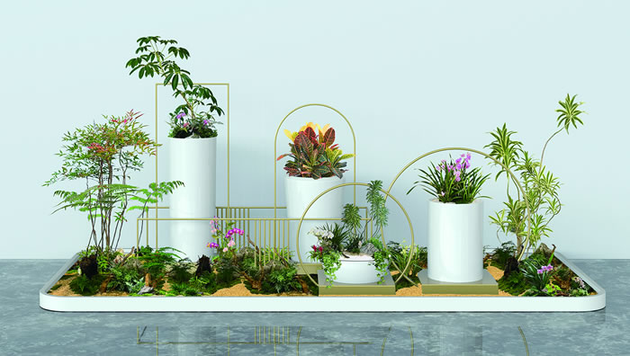 室內(nèi)租賃組合花箱