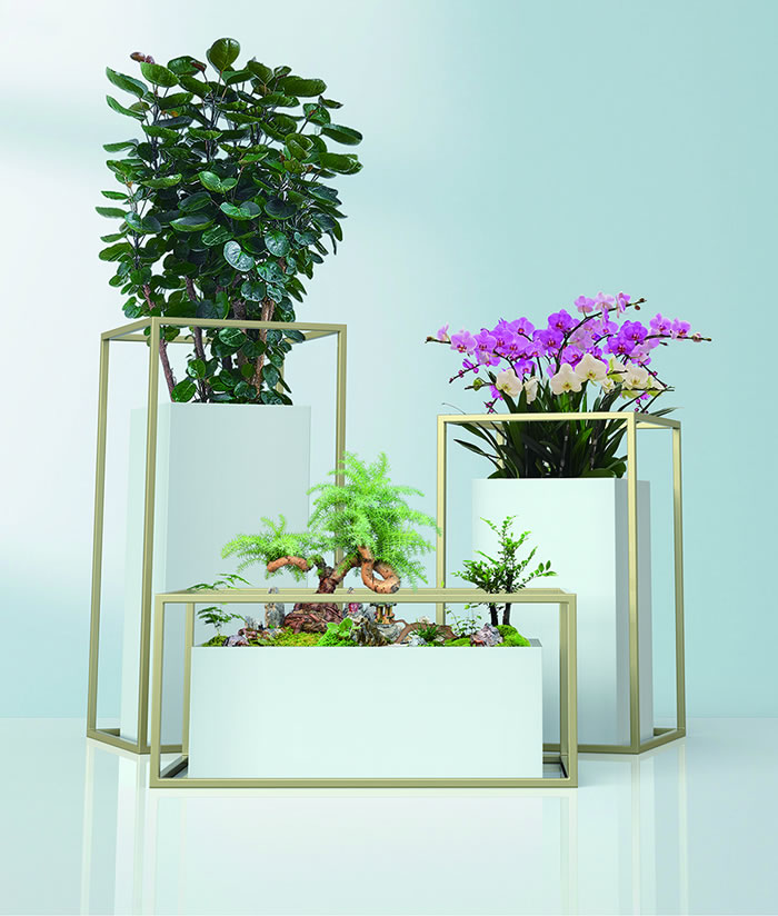 室內(nèi)租賃組合花箱