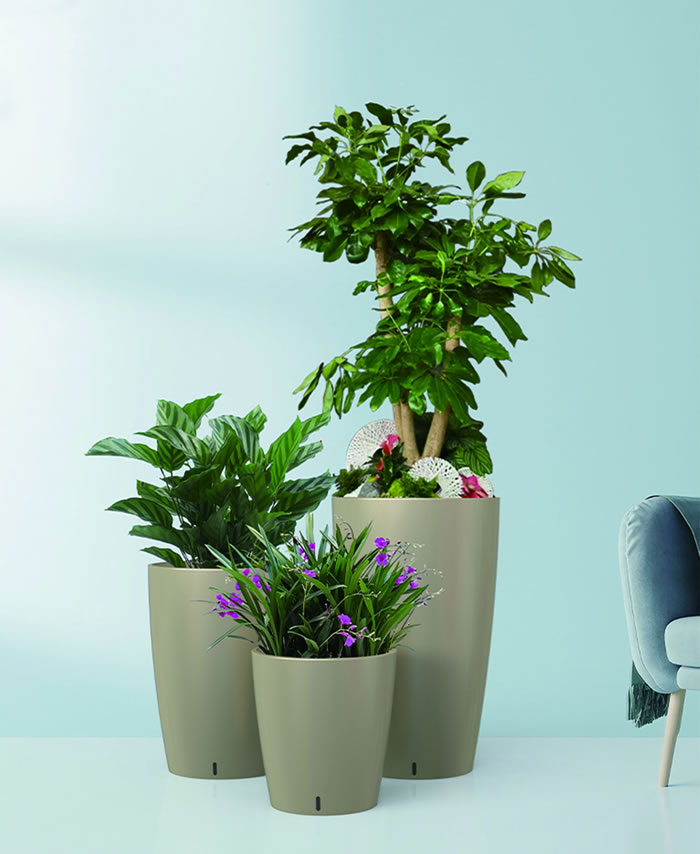 室內(nèi)租賃組合花箱