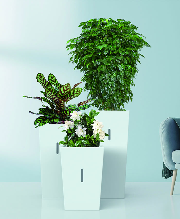 室內(nèi)租賃組合花箱