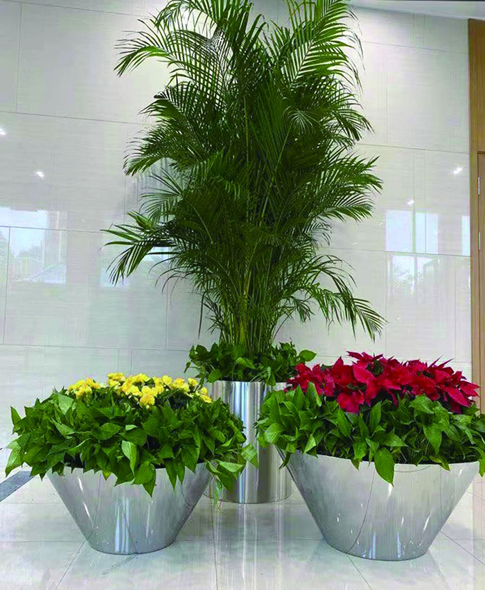 室內租賃組合花箱