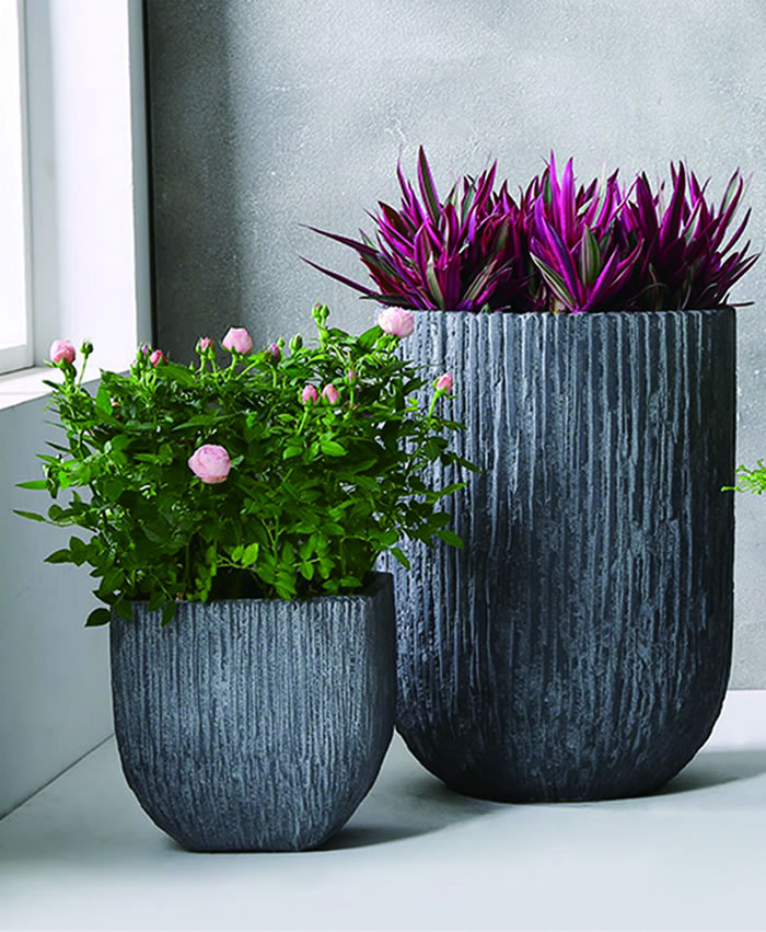 室內(nèi)租賃組合花箱