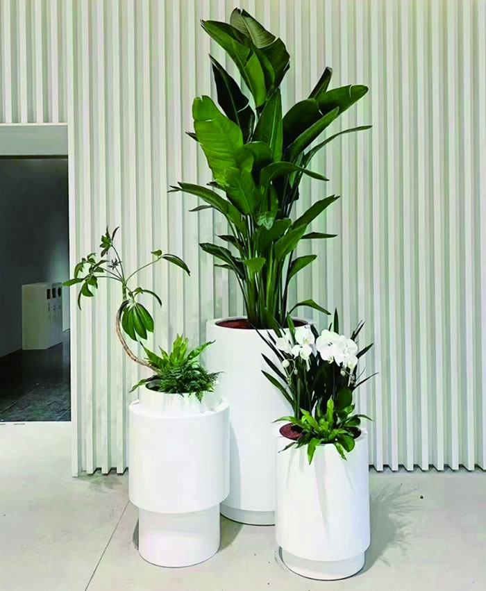 室內(nèi)租賃組合花箱