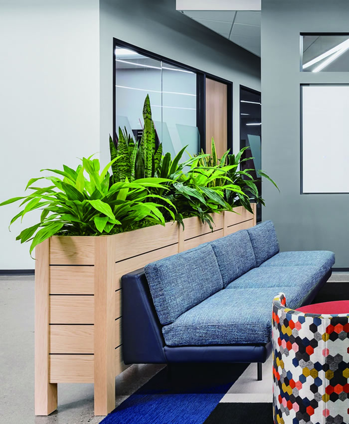 室內(nèi)租賃組合花箱