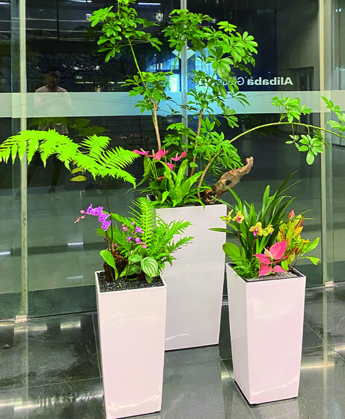 室內(nèi)租賃組合花箱