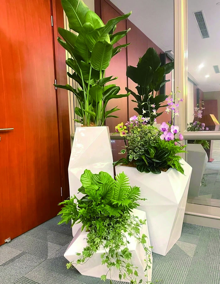 室內(nèi)租賃組合花箱
