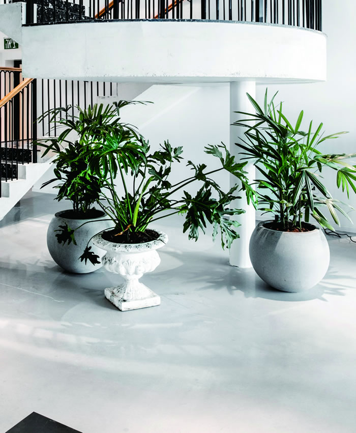 室內(nèi)租賃組合花箱