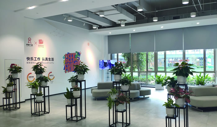 室內(nèi)租賃組合花箱